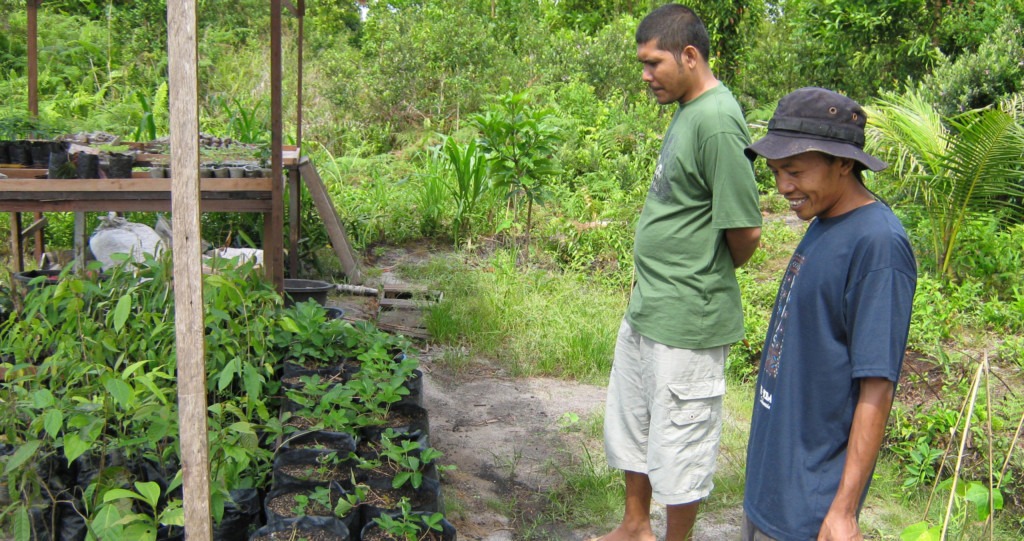 Two men examine tree seedlings in the nursery.