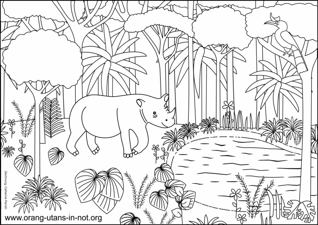 Regenwald Ausmalbild. Abgebildet sind ein Sumatra-Nashorn und ein Nashornvogel vor einer Wasserstelle im Regenwald.