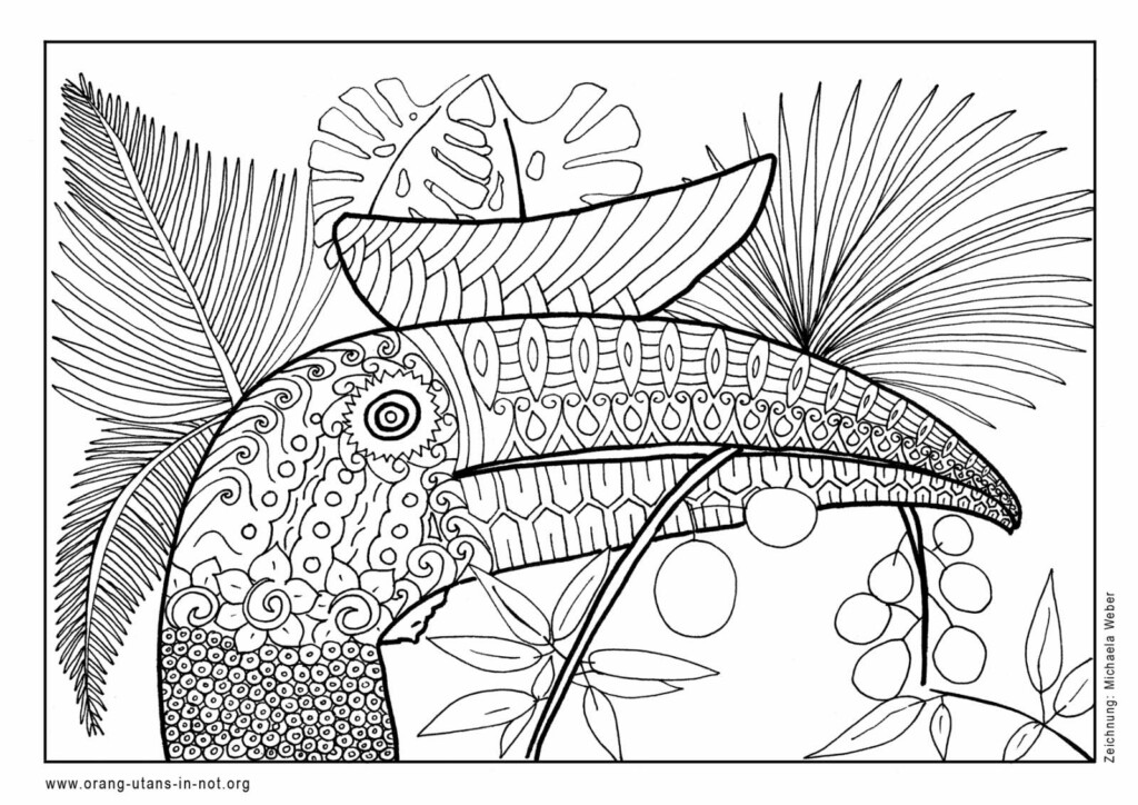 Hornvogel-Ausmalbild. Das Motiv besteht aus vielen verschiedenen Formen und Mustern.
