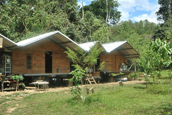 Wooden houses at the reintroduction station.