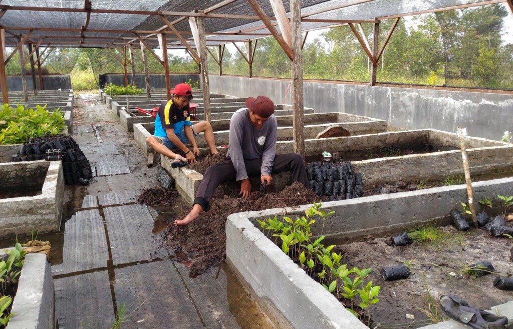 Zwei Mitarbeiter sitzen in der Baumschule und bereiten Setzlinge für die Auspflanzung vor.