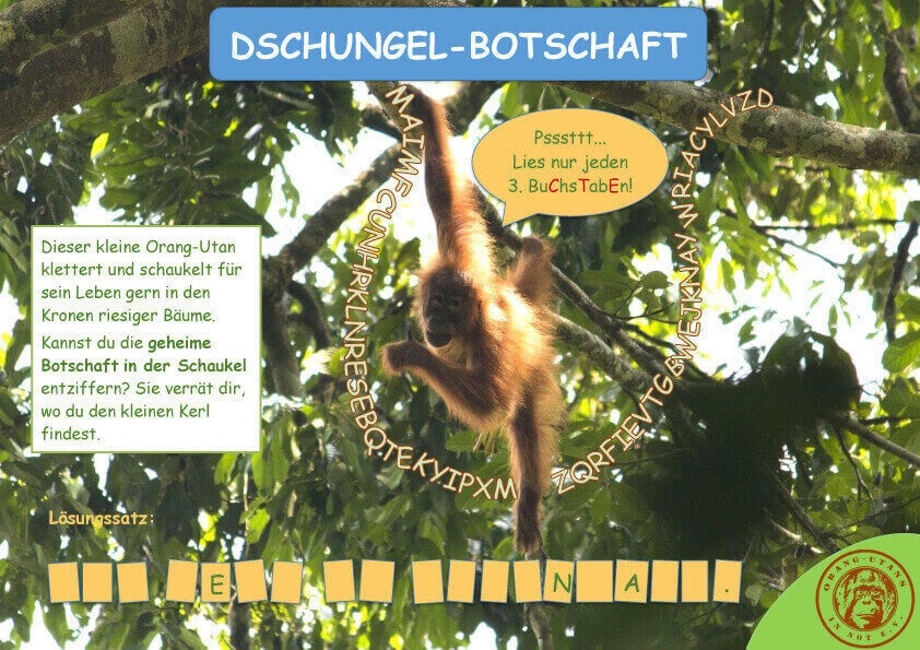 Das Spiel „Dschungel-Botschaft“. Ein Orang-Utan hängt in einem Baum. Um ihn herum läuft eine lange Reihe aus Buchstaben. In einer Sprechblase gibt der Orang-Utan den Tipp: „Pssssttt… Lies nur jeden dritten Buchstaben“. Am unteren Rand gibt es Felder, in die die gesuchten Buchstaben eingetragen werden können und so das Lösungswort ergeben.