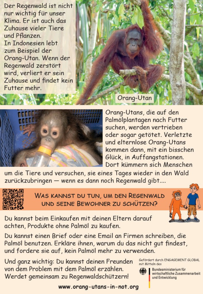 Rückseite des Kinderflyers zum Thema Palmöl. Der Flyer enthält Bilder und Informationen zu den Themen Regenwald, Palmöl und Orang-Utans. Außerdem gibt er Tipps, wie man den Regenwald schützen kann.