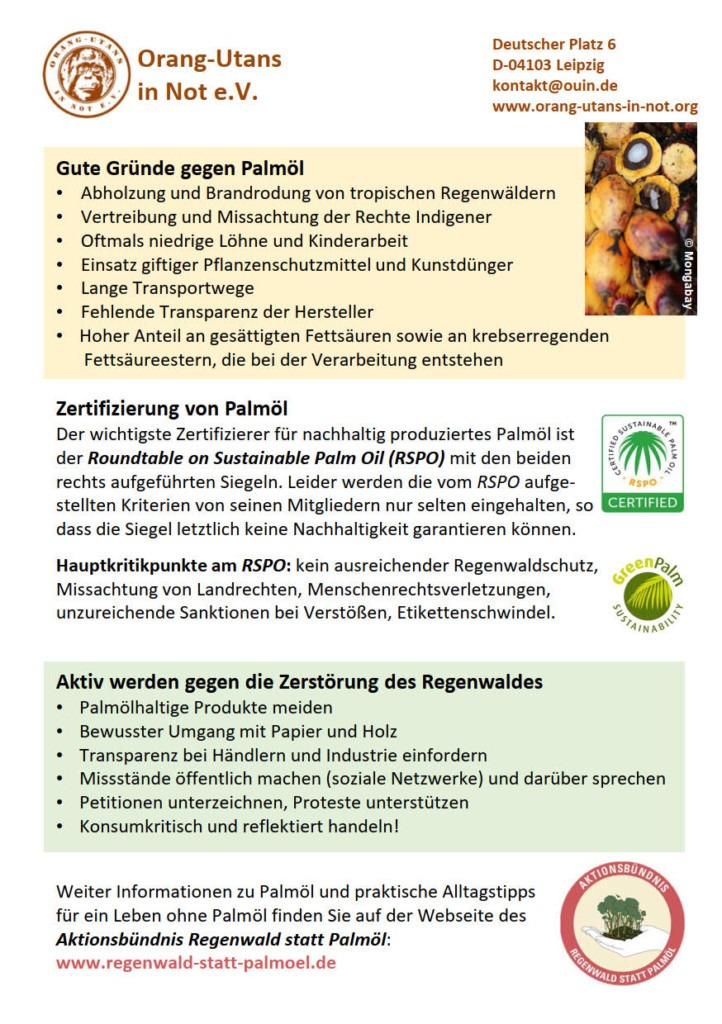 Rückseite des Flyers „Wissenswertes über Palmöl“. Der Flyer enthält Gründe, die gegen Palmöl sprechen, Informationen zur Zertifizierung von Palmöl und Tipps gegen die Zerstörung des Regenwaldes.