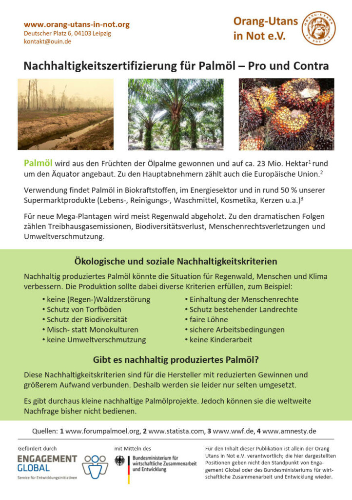 Vorderseite des Flyers zum Thema Nachhaltigkeitszertifizierung von Palmöl. Der Flyer enthält Bilder und allgemeine Informationen zum Thema Palmöl, Informationen zu ökologischen und sozialen Nachhaltigkeitskriterien und eine Antwort auf die Frage „Gibt es nachhaltig produziertes Palmöl?“
