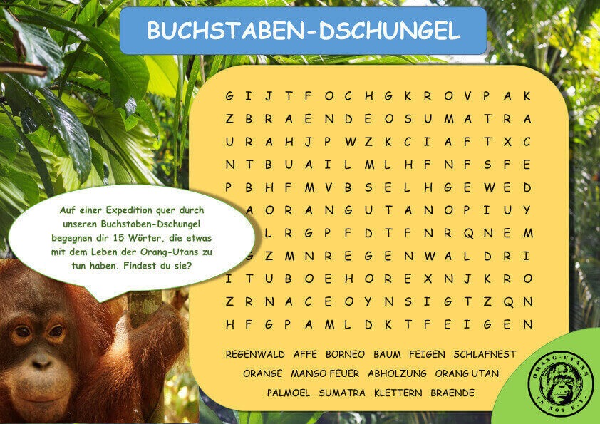 Das Spiel „Buchstaben-Dschungel“. Links ist ein Orang-Utan mit einer Sprechblase abgebildet, in der die Regeln erklärt werden. Im Zentrum stehen viele Reihen mit Buchstaben, die und die gesuchten Wörter.