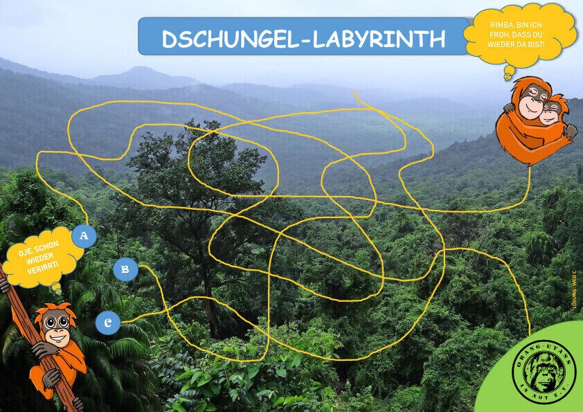 Das Spiel „Dschungel-Labyrinth“. Im Hintergrund ist ein Bild des Regenwaldes abgebildet. In der linken unteren Ecke befindet sich der Orang-Utan Rimba. Seine Mama ist oben rechts. Verschiedene Wege beginnen bei Rimba, aber nur einer führt zu seiner Mutter.