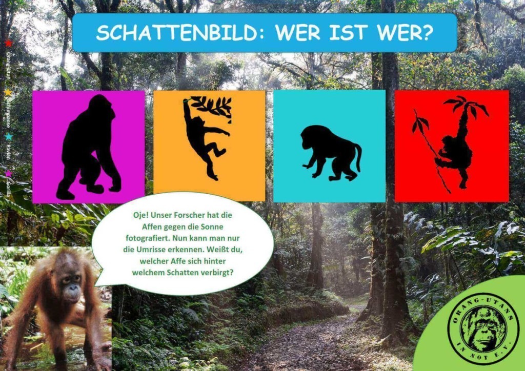 Das Spiel „Schattenbild: Wer ist wer?“. Im Hintergrund ist ein Bild des Regenwaldes abgebildet. Im Zentrum des Bildes sind vier Silhouetten von Menschenaffen. Links unten befindet sich ein Bild von einem Orang-Utan mit Sprechblase, in der die Regeln erklärt werden.
