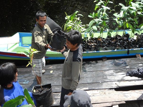 Helpers unloading tree seedlings from a boat.