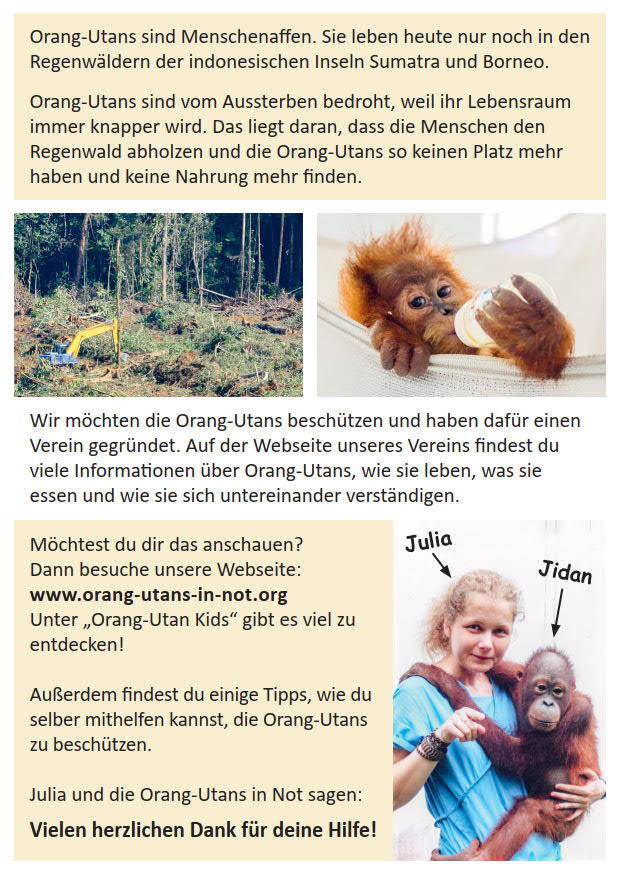 Rückseite des Kinderflyers „Lass mich nicht im Regen stehen“. Der Flyer enthält Bilder und Informationen zu Orang-Utans und deren Gefährdung.