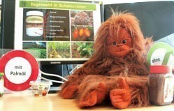 Die Orang-Utan-Handpuppe Ginting sitzt auf einem Schreibtisch und ein Bildschirm im Hintergrund zeigt Informationen zum Thema Palmöl.