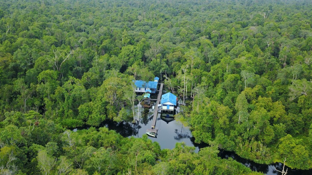 Luftaufnahme der Baumschule im Lamandau River Wildlife Reserve.