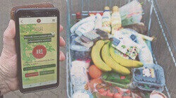 Eine Hand hält ein Smartphone mit der geöffneten Replace PalmOil App neben einem mit Lebensmitteln gefüllten Einkaufswagen.