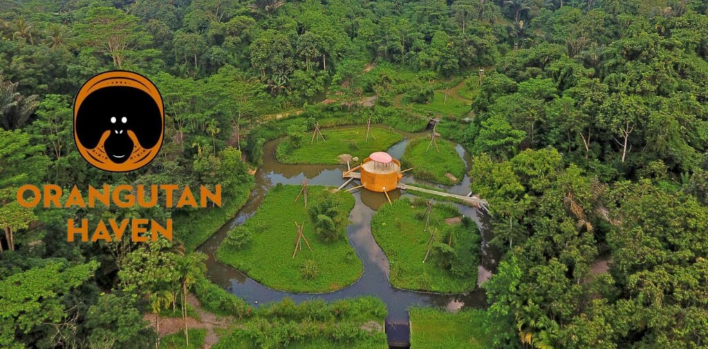 Drone picture of the Orangutan Haven on Sumatra, including the Orangutan Haven logo.