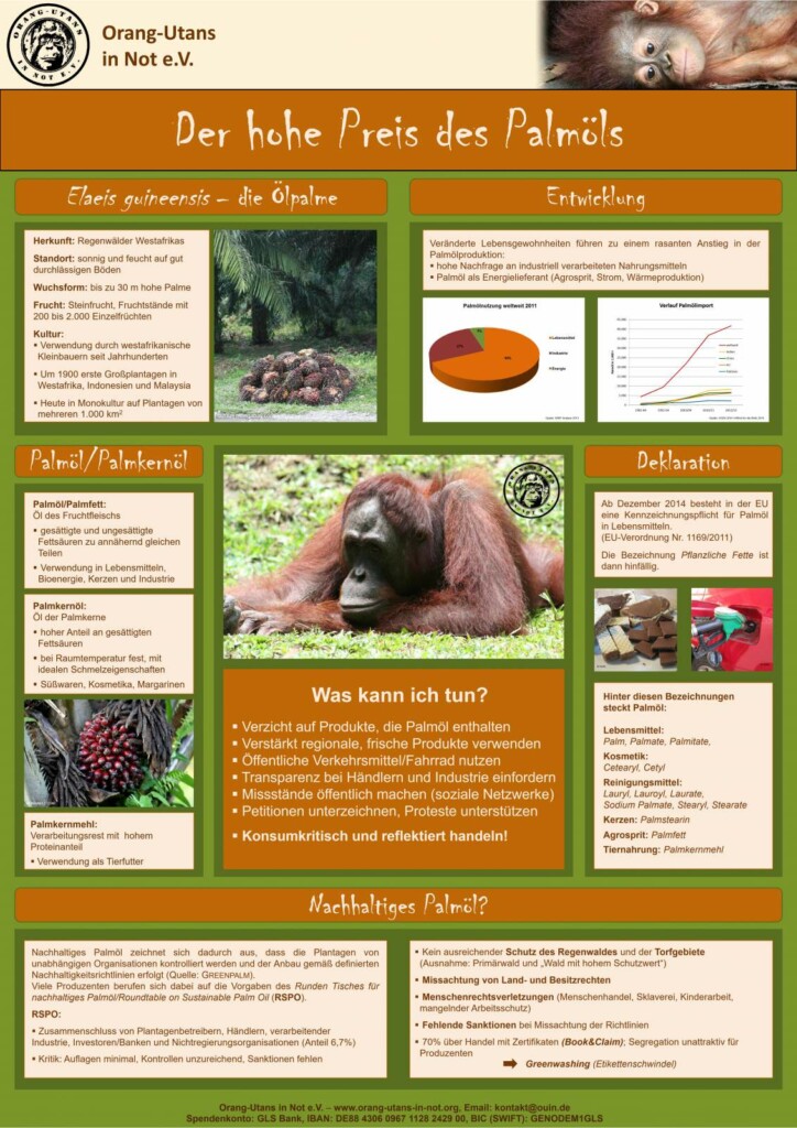 Vorschaubild des Posters „Der hohe Preis des Palmöls“. Das Poster gibt Informationen zur Ölpalme, der Entwicklung des Palmölanbaus, Palmöl und Palmkernöl, zu den Deklarationen von Palmöl und zu nachhaltigem Palmöl.