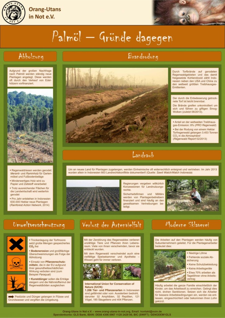 Vorschaubild des Posters „Palmöl – Gründe dagegen“. Behandelt werden die Aspekte Abholzung, Brandrodung, Landraub, Umweltverschmutzung, Verlust der Artenvielfalt und Moderne Sklaverei.