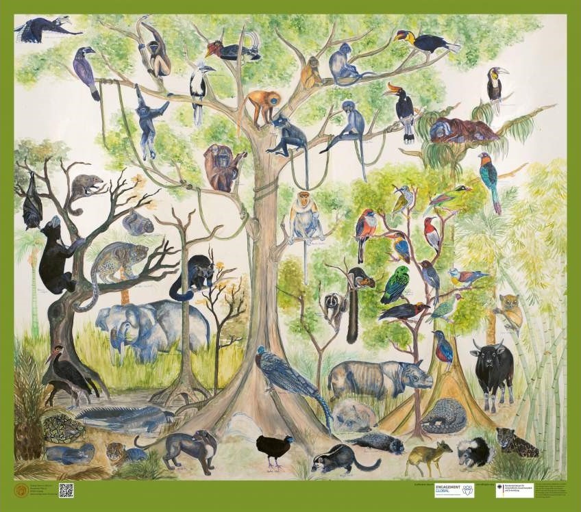 Plakat mit einer Zeichnung zum Thema Regenwald. Das Plakat zeigt viele verschiedene Tiere des südostasiatischen Regenwaldes. Die Tiere befinden sich auf den Bäumen oder am Boden des Regenwaldes.
