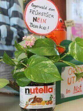 Ein Nutella-Glas, in dem ein Schild mit der Aufschrift „Regenwald zum Frühstück? Nein, danke.“ steht.