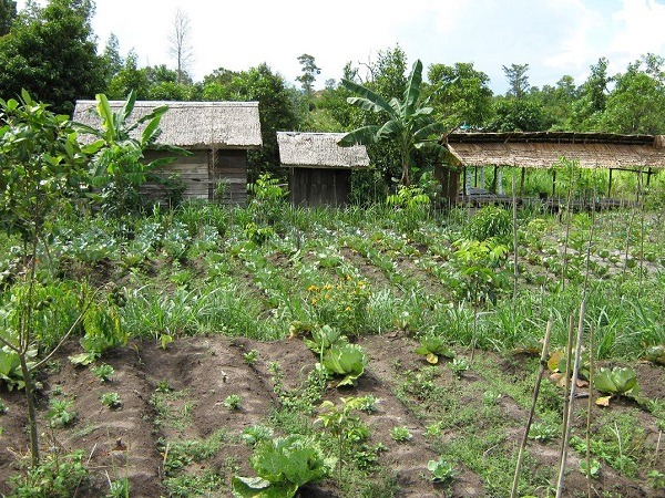 A garden for environmental education in Indonesia.