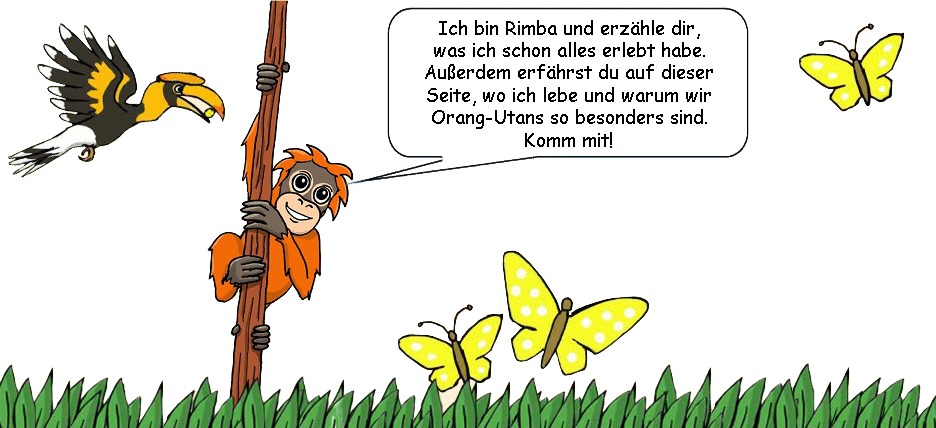 Ein gezeichnetes Bild, bei dem ein Rhinozerosvogel links im Bild fliegt. Rechts daneben klettert ein Orang-Utan, Rimba, an einem Ast. Eine Sprechblase in der Mitte des Bildes bezieht sich auf ihn. Rechts fliegen gelbe Schmetterling und der untere Rand ist geschmückt mit Blättern. In der Sprechblase steht: Ich bin Rimba und erzähle dir, was ich schon alles erlebt habe. Außerdem erfährst Du auf dieser Seite, wo ich lebe und warum Orang-Utans so besonders sind. Komm mit!