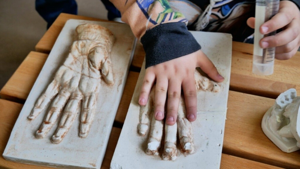 Ein Schüler vergleicht durch Auflegen seine Hand mit den Gips-Abdrücken von Orang-Utan-Hand und -Fuß.