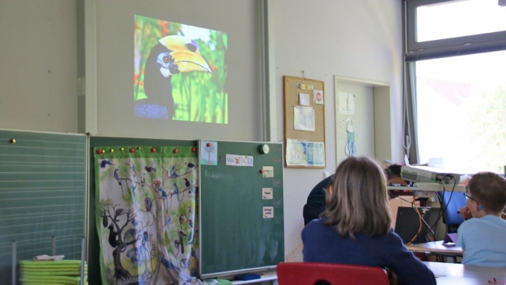 Die Schüler sitzen an ihren Tischen und schauen gebannt nach vorn, wo sie einer Präsentation zum Thema Regenwald folgen. Bei einer Fantasiereise durch den Lebensraum der Orang-Utans lernen sie auch andere Lebewesen dieser Region kennen – hier betrachten sie gerade ein farbenfrohes Bild eines Hornvogels. An der Tafel hängt unser Regenwaldposter, auf dem die Stockwerke des Regenwaldes und einige seiner Bewohner dargestellt sind.