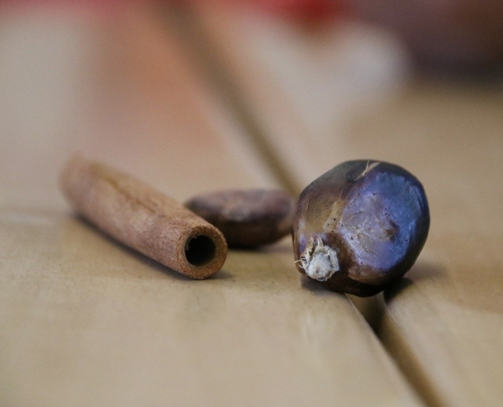 Die Schüler lernen anhand von Anschauungsmaterial Früchte aus dem Regenwald kennen, die wir auch im Alltag nutzen: hier eine Zimtstange, die Frucht einer Ölpalme sowie eine Kakaobohne.