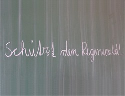 ALT-Text: Der Spruch „Schützt den Regenwald!“ an eine Schultafel geschrieben.