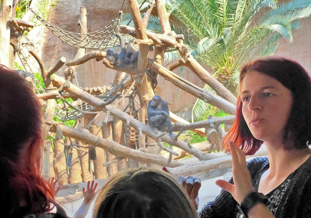 Die Umweltbildnerin erklärt der Gruppe die Lebensweise und Bedrohung der Menschenaffen. Im Hintergrund ruhen Schimpansen auf einem Baum.