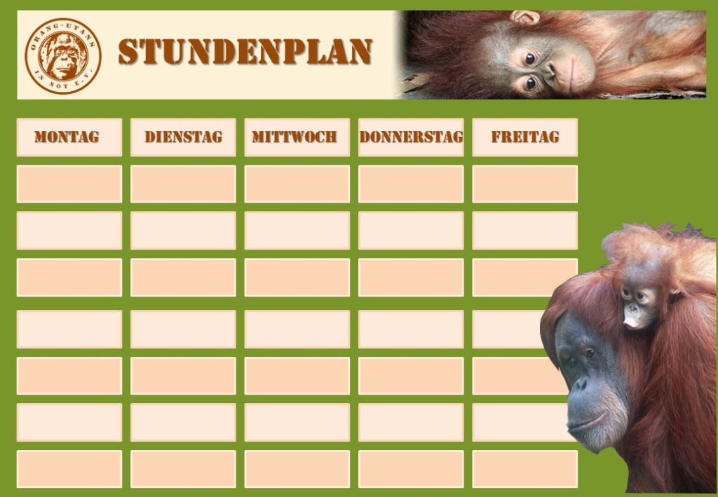 Vorderseite des Stundenplans mit dem Vereinslogo und zwei Bildern von Orang-Utans.