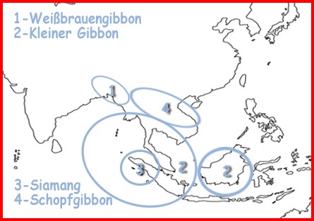 Skizze der Landkarte Südostasiens mit Markierungen der Verbreitungsgebiete verschiedener Gibbonarten