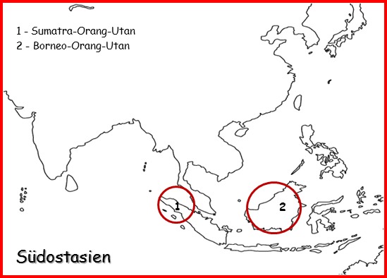 Skizze der Landkarte Südostasiens. Markiert sind die Insel Sumatra und die Insel Borneo als Lebensräume der Orang-Utans.