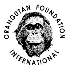 Logo des Vereins Orangutan Foundation International. In der Mitte befindet sich eine Portraitzeichnung eines männlichen Orang-Utans mit Backenwülsten.