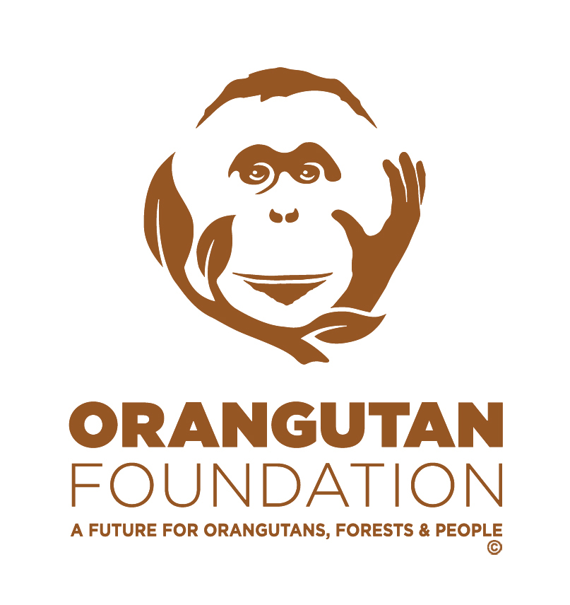 Logo des Vereins Orangutan Foundation: ein Orang-Utan Gesicht, das auf der linken Seite durch eine Pflanze und auf der rechten Seite durch eine menschliche Hand eingefasst ist.