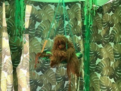 Ausschnitt des Regenwaldraums. Ein Plüsch-Orang-Utan sitzt in einem Schlafnest