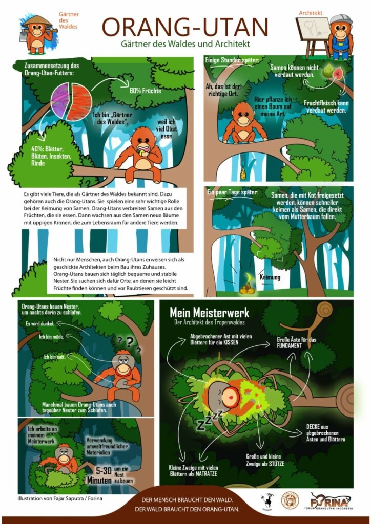 Der Orang-Utan-Comic "Gärtner des Waldes und Architekt" von Yayorin.