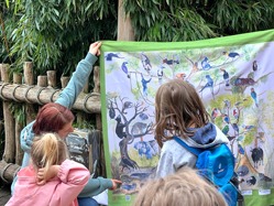 Auf einem Plakat zeigt die Umweltbildnerin den Teilnehmern, wie viele Tiere und Pflanzen im intakten Regenwald zu finden sind.
