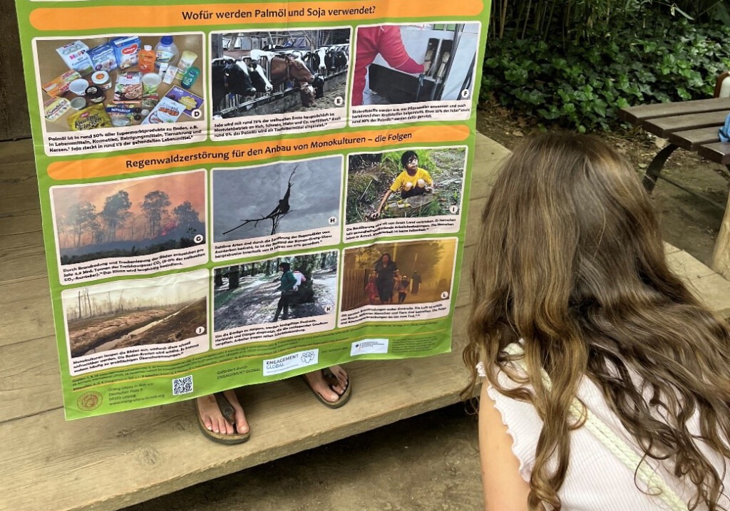 Eine Schülerin betrachtet ein Plakat, auf dem die Auswirkungen von Palmöl- und Soja-Monokulturen dargestellt sind