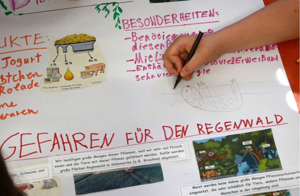 Eine Schülerin gestaltet ein Plakat zum Thema Soja. Zwischen Bildern von Sojaplantagen und der Verwendung von Soja zeichnet sei ein Faultier, das durch die Abholzung des Regenwaldes für Sojaplantagen seinen Lebensraum verliert. Groß daneben geschrieben steht: Gefahren für den Regenwald!