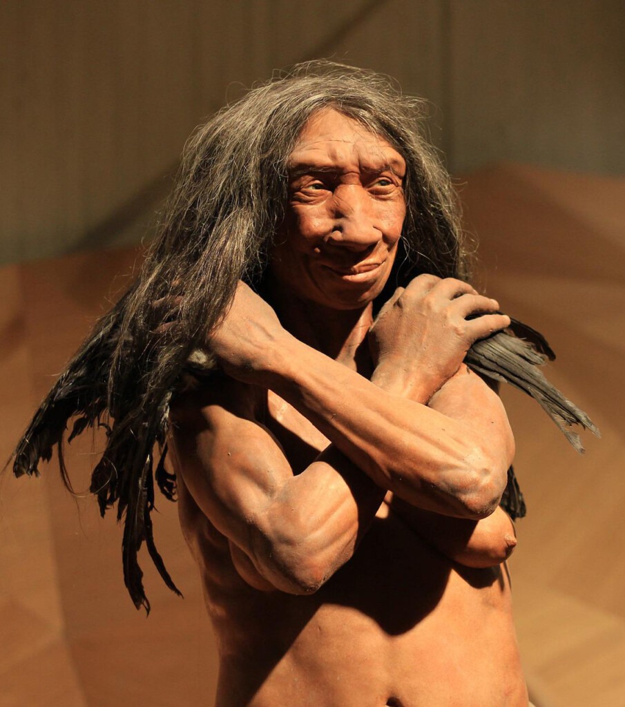 Modell einer Neandertalerin mit langen dunklen Kopfhaaren.