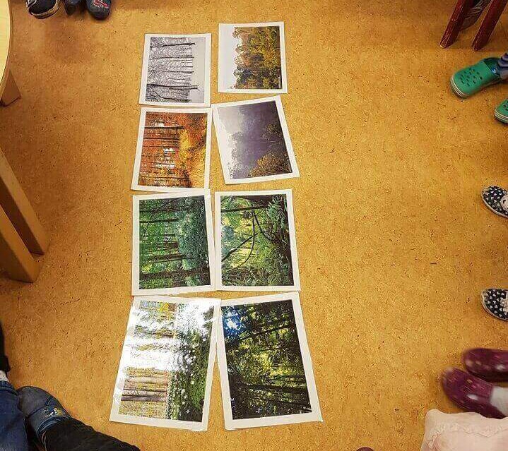 Acht Waldfotos liegen auf dem Boden.