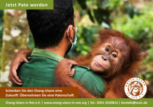 Vorschau der Freianzeige im Format 210x148: Die Anzeige zeigt ein Bild mit einem Pfleger, der einen Orang-Utan auf dem Arm hält. Der Orang-Utan schaut in die Kamera. Oben steht "Jetzt Pate werden". Unten steht: "Schenken Sie den Orang-Utans eine Zukunft: Übernehmen Sie eine Patenschaft." Im unteren Bildbereich sind außerdem das Vereinslogo, die Webadresse und die Kontaktdaten abgebildet.