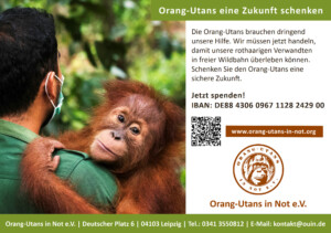 Vorschau der Freianzeige: Auf der linken Seite ist ein Foto abgebildet, das einen Pfleger mit einem Orang-Utan auf dem Arm zeigt. Der Orang-Utan schaut in die Kamera. Daneben steht am oberen Rand: „Orang-Utans eine Zukunft schenken“; „Die Orang-Utans brauchen dringend unsere Hilfe. Wir müssen jetzt handeln, damit unsere rothaarigen Verwandten in freier Wildbahn überleben können. Schenken Sie den Orang-Utans eine sichere Zukunft.“; „Die Orang-Utans brauchen dringend unsere Hilfe. Wir müssen jetzt handeln, damit unsere rothaarigen Verwandten in freier Wildbahn überleben können. Schenken Sie den Orang-Utans eine sichere Zukunft.“; „Jetzt spenden!“ Darunter sind IBAN-Nummer, QR-Code, Webadresse, Vereinslogo und Kontaktdaten abgebildet.