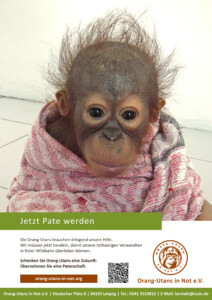 Vorschau der Freianzeige: Oben steht „Orang-Utans eine Zukunft schenken“. Darunter ist ein Porträt eines Baby-Orang-Utans abgebildet, der in eine Decke gewickelt ist. Darunter steht „Jetzt Pate werden“; „Die Orang-Utans brauchen dringend unsere Hilfe. Wir müssen jetzt handeln, damit unsere rothaarigen Verwandten in freier Wildbahn überleben können.“; „Schenken Sie Orang-Utans eine Zukunft: Übernehmen Sie eine Patenschaft.“ Im unteren Bildbereich sind Webadresse, QR-Code, Vereinslogo und Kontaktdaten abgebildet.