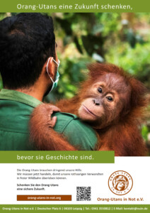 Vorschau der Freianzeige im Format 210x297: Oben steht „Orang-Utans eine Zukunft schenken,“. Darunter ist ein Bild mit einem Pfleger, der einen Orang-Utan auf dem Arm hält. Der Orang-Utan schaut in die Kamera. Darunter steht „bevor sie Geschichte sind“ und „Die Orang-Utans brauchen dringend unsere Hilfe. Wir müssen jetzt handeln, damit unsere rothaarigen Verwandten in freier Wildbahn überleben können.“ sowie „Schenken Sie Orang-Utans eine Zukunft“ Im unteren Bildbereich sind die Webadresse, ein QR-Code, das Vereinslogo und die Kontaktdaten abgebildet.