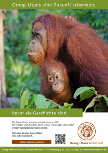 Vorschau der Freianzeige im Format 210x297: Oben steht „Orang-Utans eine Zukunft schenken,“. Darunter ist ein Bild mit einer Orang-Utan-Mutter und ihrem Kind. Das Kind klammert sich am Bauch der Mutter fest.  Darunter steht „bevor sie Geschichte sind“ und „Die Orang-Utans brauchen dringend unsere Hilfe. Wir müssen jetzt handeln, damit unsere rothaarigen Verwandten in freier Wildbahn überleben können.“ sowie „Schenken Sie Orang-Utans eine Zukunft“ Im unteren Bildbereich sind die Webadresse, ein QR-Code, das Vereinslogo und die Kontaktdaten abgebildet.