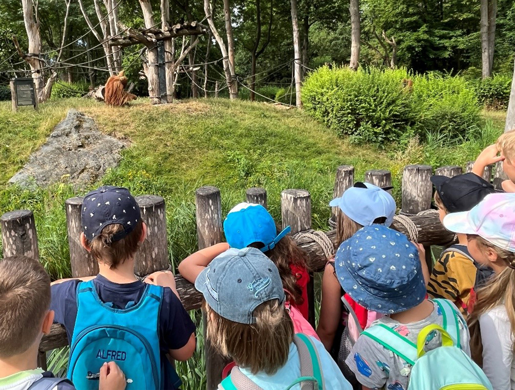 Kinder beobachten den Orang-Utan-Mann.