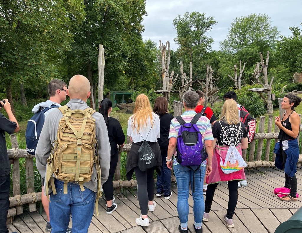 Eine Gruppe Schüler steht vor der Gorilla-Anlage.