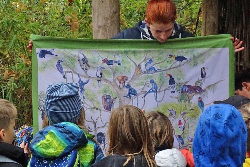 Kinder betrachten Tiere des Regenwaldes auf einem Poster, das die Umweltbildnerin hochhält.