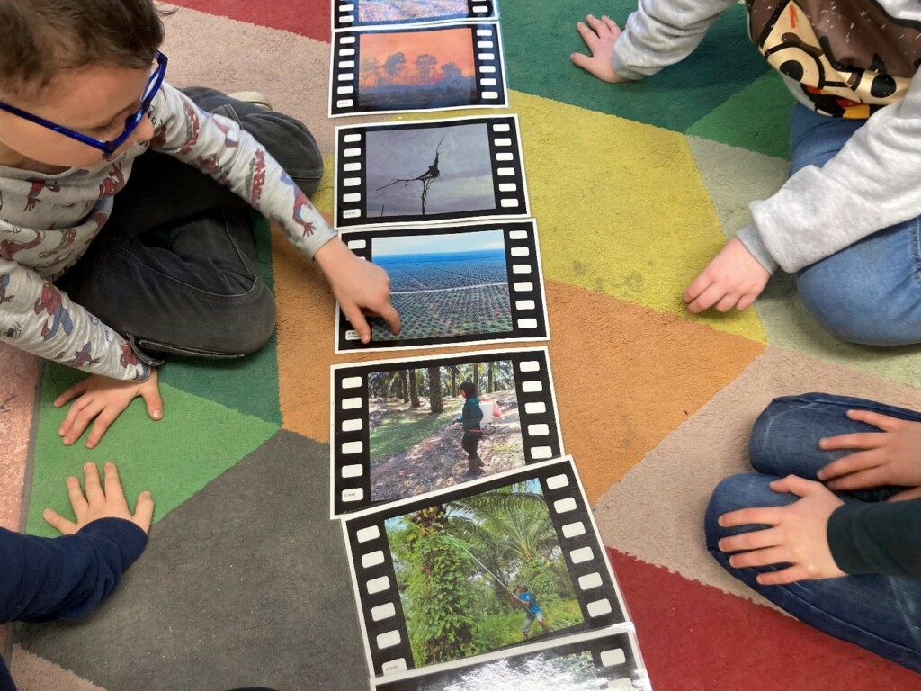 Kinder sitzen auf dem Boden und sortieren Bilder, die den Ablauf und die Probleme bei der Palmölproduktion darstellen.
